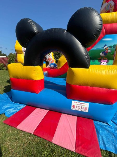 WhatsApp Image 2025-08-17 at 15.09.18 (3)